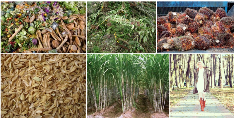 Biomass Gasification