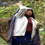 ADB transfers Nepal’s 1st wind-solar hybrid system to AEPC